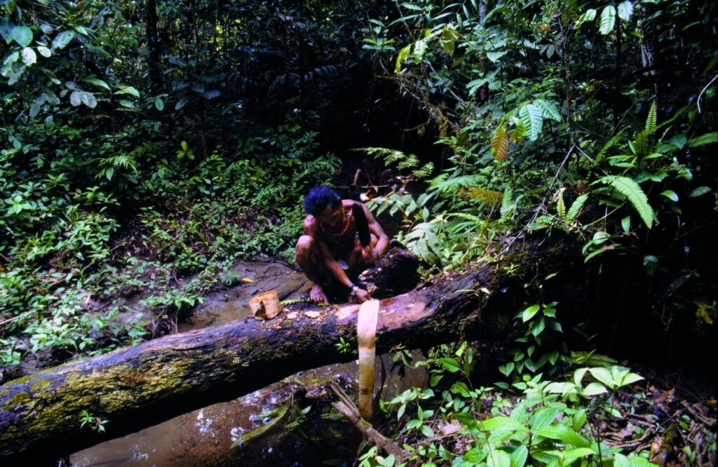 13 Indonesia 001_c