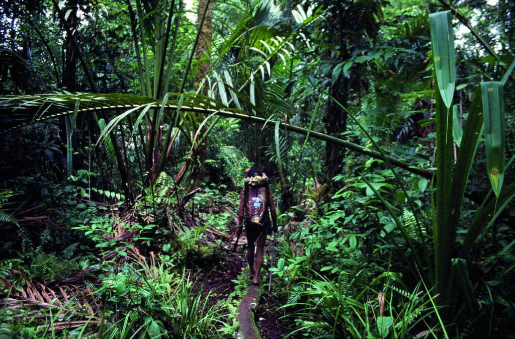 17 Mentawai _Indonesia 001_c