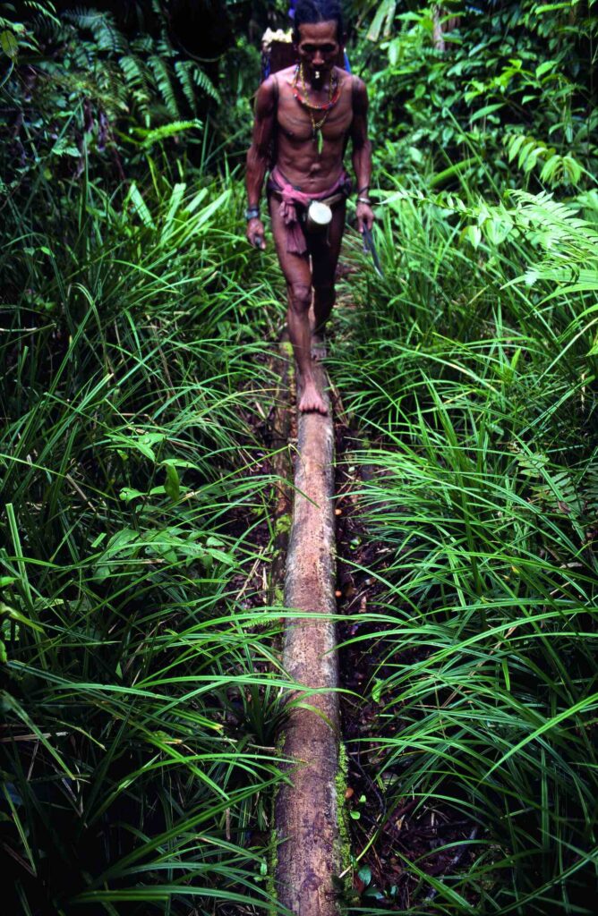 17 Mentawai_ Indonhsia 001_c