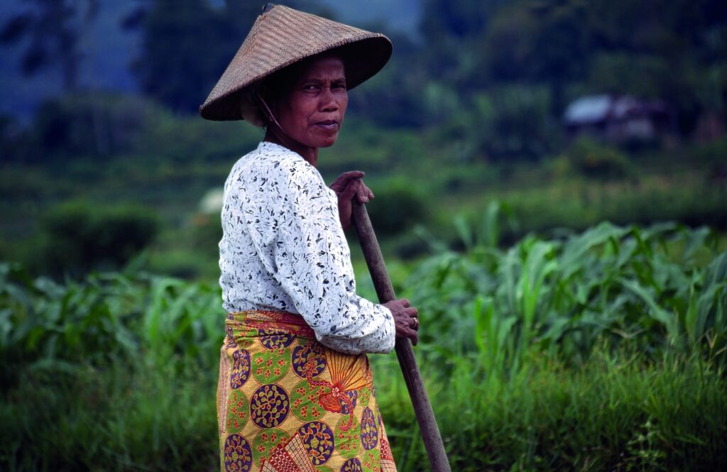 INDONHSIA_SUMATRA_ 16NEW_c