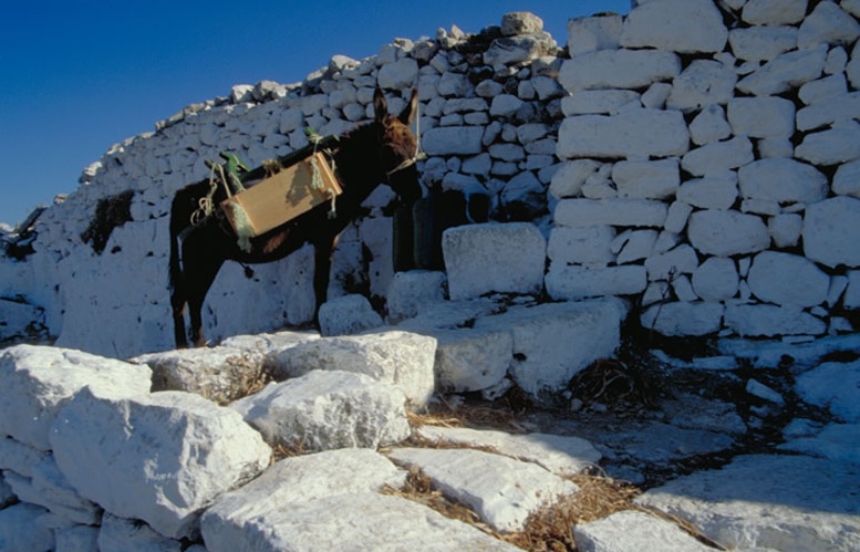 Mykonos 5