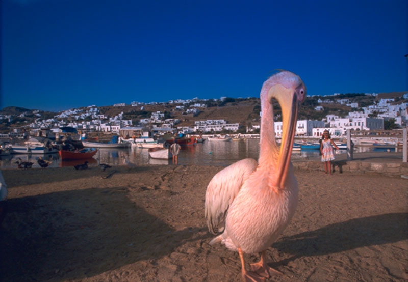 Mykonos
