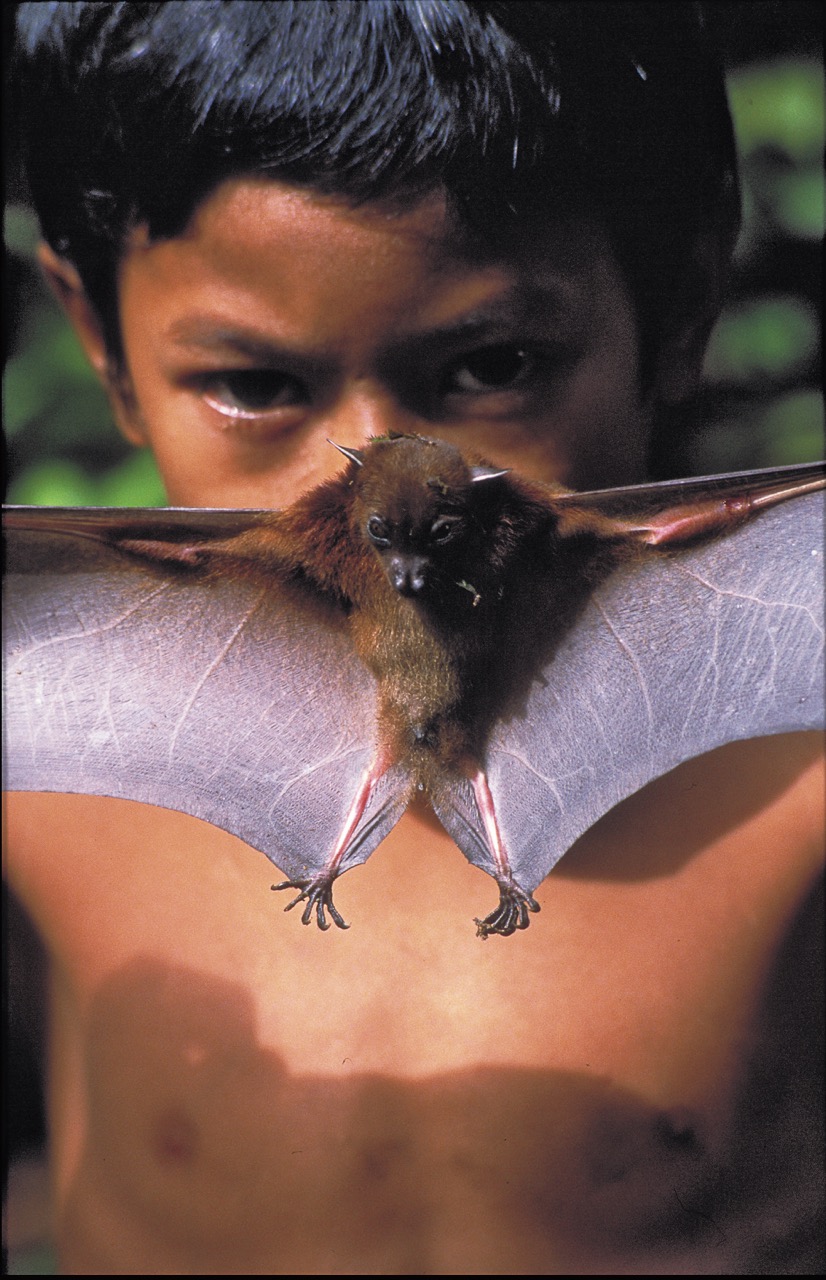 Mentawai tribe