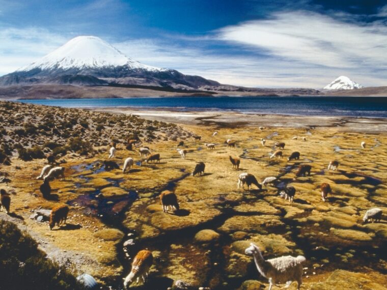 Chile