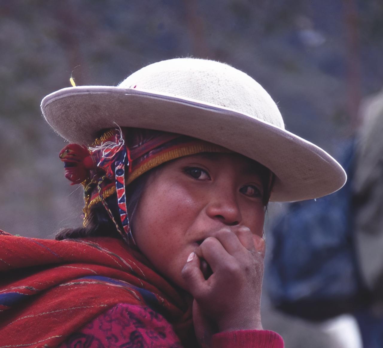 Mapuche tribe